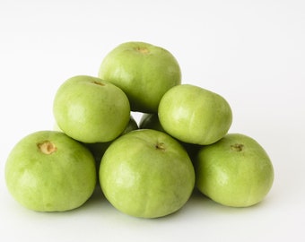 10 Heirloom Tinda Gourd Seeds! Rare Indian Round Gourd - - -Benincasa fistulosa