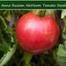 see more listings in the Garden Vegetable Seeds section