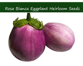 Vegetable Seeds -Rosa Bianca Eggplant -20 Heirloom Seeds - Grill or Stir Fry- Compact Plants -Container or Garden Standard