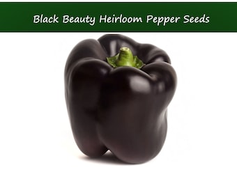 Pepper Seeds-Chocolate Beauty Sweet Pepper- 20 Vegetable Seeds