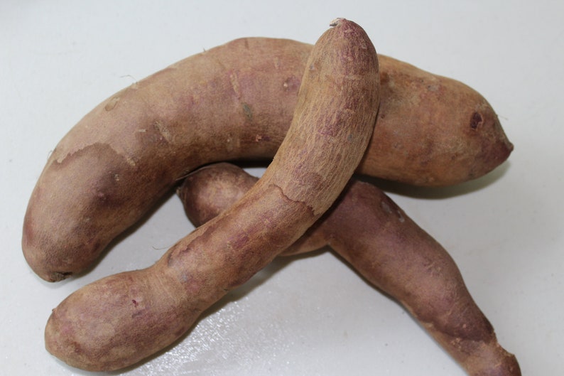 10 Rarely Produced Seeds Water Yam / Purple Yam Use Like a Etsy
