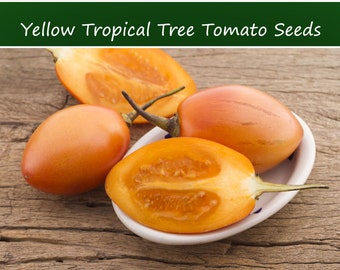 Tropical Seeds -Rare Yellow Tropical Tree Tomato -10 Heirloom Seeds -Container Gardening--Ornamental plant seed -Solanum Betacea