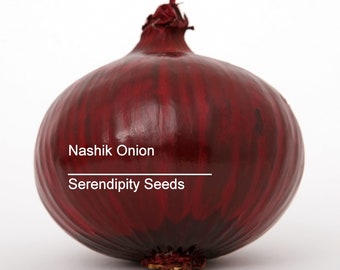 50 Seeds- Nashik Onion -Tasty Delicate Onion Flavor