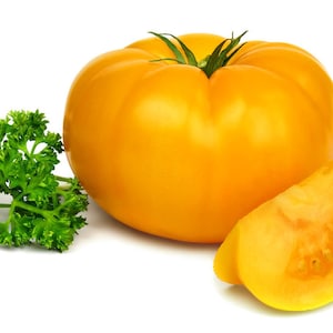 20 Heirloom Tomato Seeds -Yellow Brandywine Vegetable Seeds - --All Natural-Save Big on More Packs -Mix and Match! Sale!