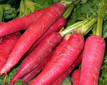 Carrot Seeds-Atomic Red Carrot Seeds- All Natural-100 Seeds-Heirloom Vegetable