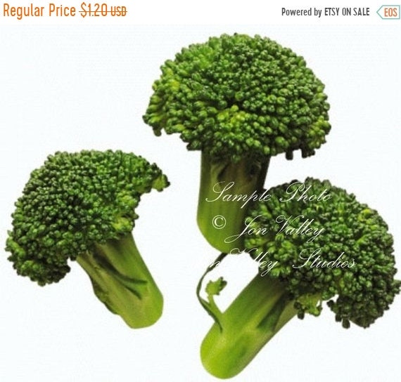 Organic NON-GMO Heirloom Garden 20 kinds 1045 seeds