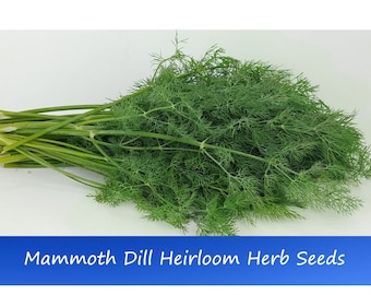 May include: A bunch of fresh green dill, a type of herb, on a white background. The text "Mammoth Dill Heirloom Herb Seeds" is at the bottom of the image.
