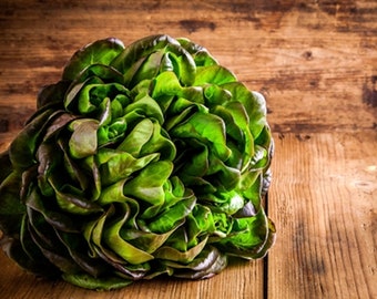 Lettuce -Bronze Mignonette - 50 Heirloom Vegetable Seeds- Butterhead Lettuce