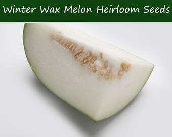 Vegetable Seeds -Winter Wax Melon -25 Heirloom Seeds  Long Shelf Life- Good Producer-Benincasa hispida