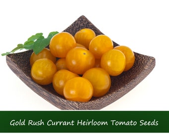 Tomato Seeds -Gold Rush Currant Tomato- 10 Heirloom Vegetable Seeds