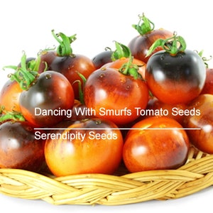 20 Heirloom Vegetable SEEDS -Dancing With Smurfs Tomato -Indigo Rose Type- Sweet Flavor-Save Big on More Packs -Mix and Match! Sale!