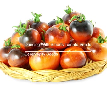 20 Heirloom Vegetable SEEDS -Dancing With Smurfs Tomato -Indigo Rose Type- Fresh Eating- Freezing- Sweet Flavor