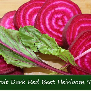75 All Natural Heirloom Vegetable Seeds-Detroit Dark Red Beet -Save Big on More Packs -Mix and Match- Sale!
