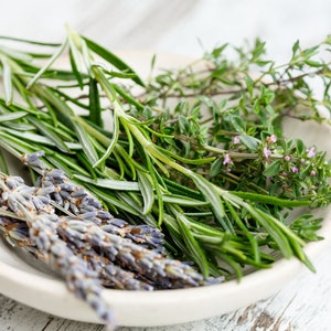 Herb Seeds Rosemary 25 Seeds-Aromatic Herb Indoors or Out image 2