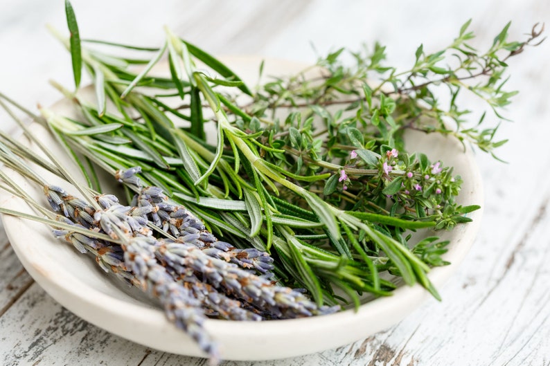 Herb Seeds Rosemary 25 Seeds-Aromatic Herb Indoors or Out image 2