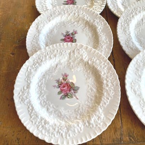 SPODE Bread Butter Plates, Vintage Bone China, England, BRIDAL ROSE, Set of 6, Like New!