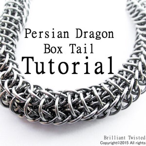 Può includere: Primo piano di una collana in maglia di catena argentata con un motivo intrecciato. La maglia di catena è chiamata "Coda di drago persiana in scatola" e l'immagine è etichettata come "Tutorial".