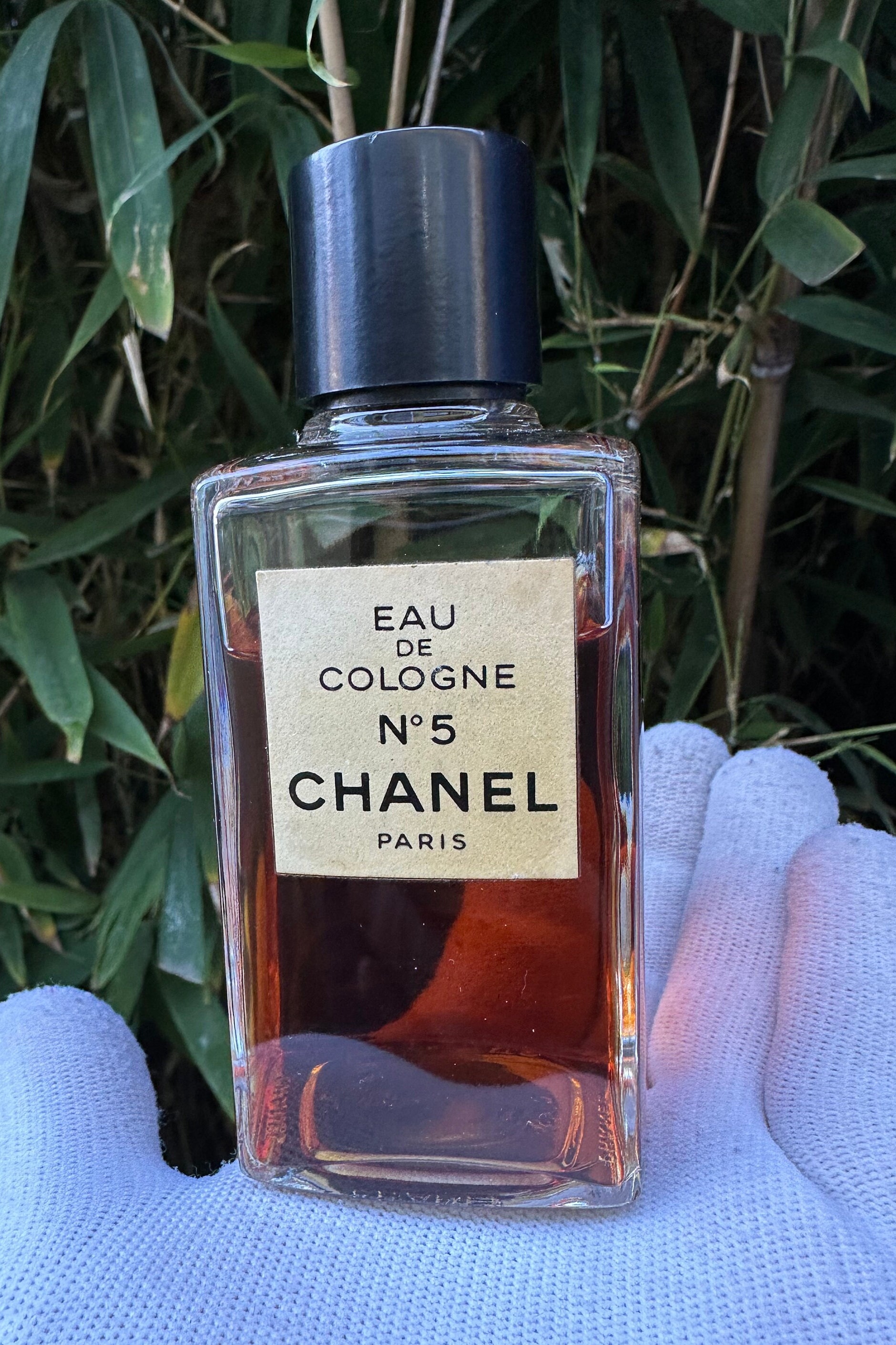 Chanel 5 Splash - Etsy