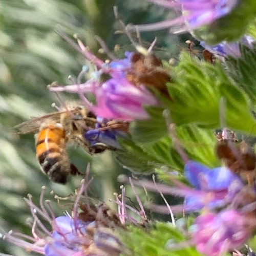 ヴィンテージ JAEGER ネイビーブルー レザー カジュアル ビジネス