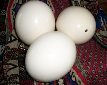 ostrich eggs for art and crafting