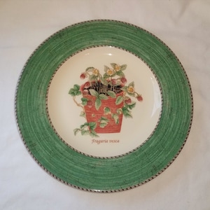 Wedgwood Sarah&#39;s Gardens salad plate made in England Strawberry Plant Motif Queens Ware