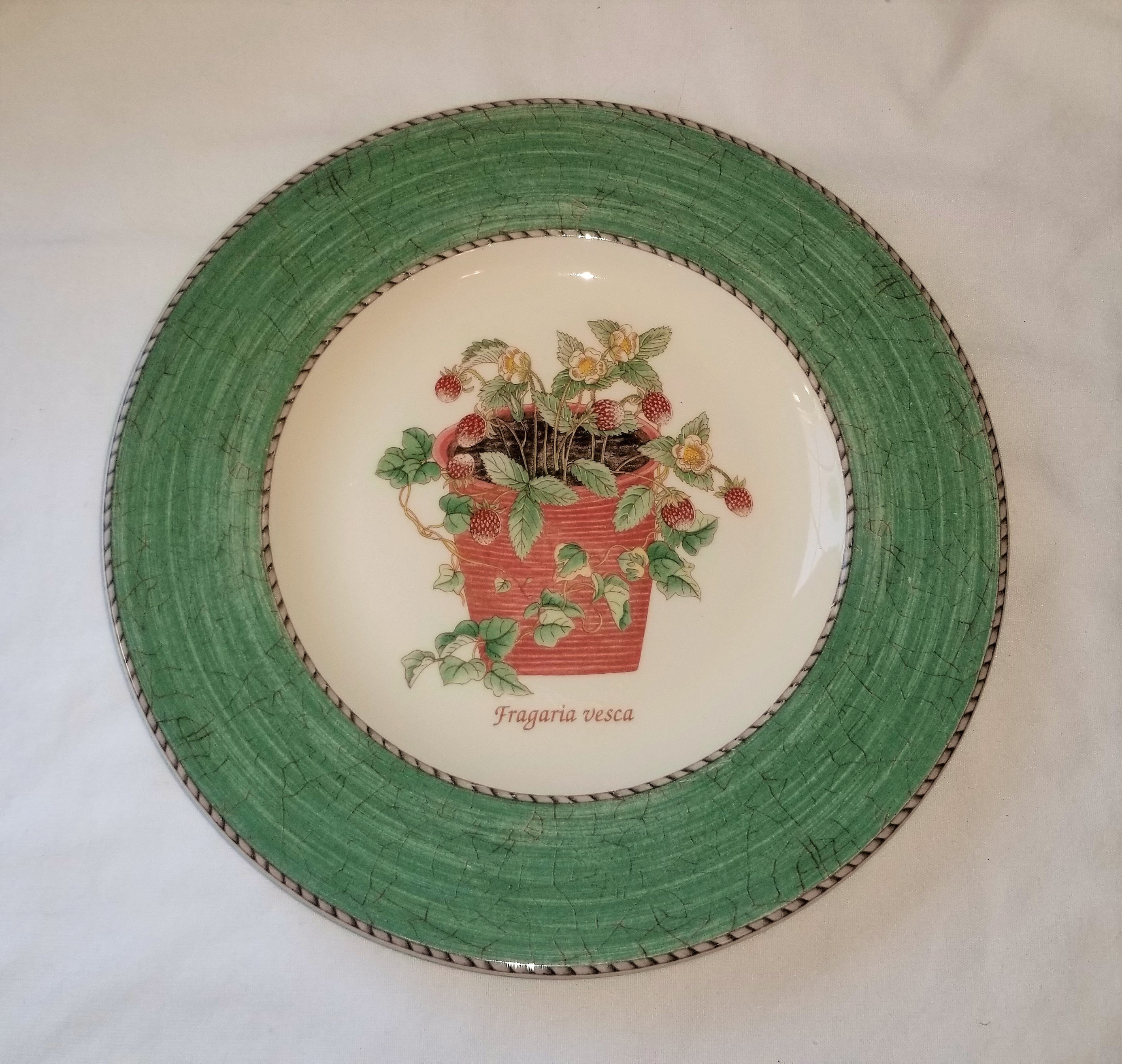 Wedgwood Sarah's Garden - Etsy