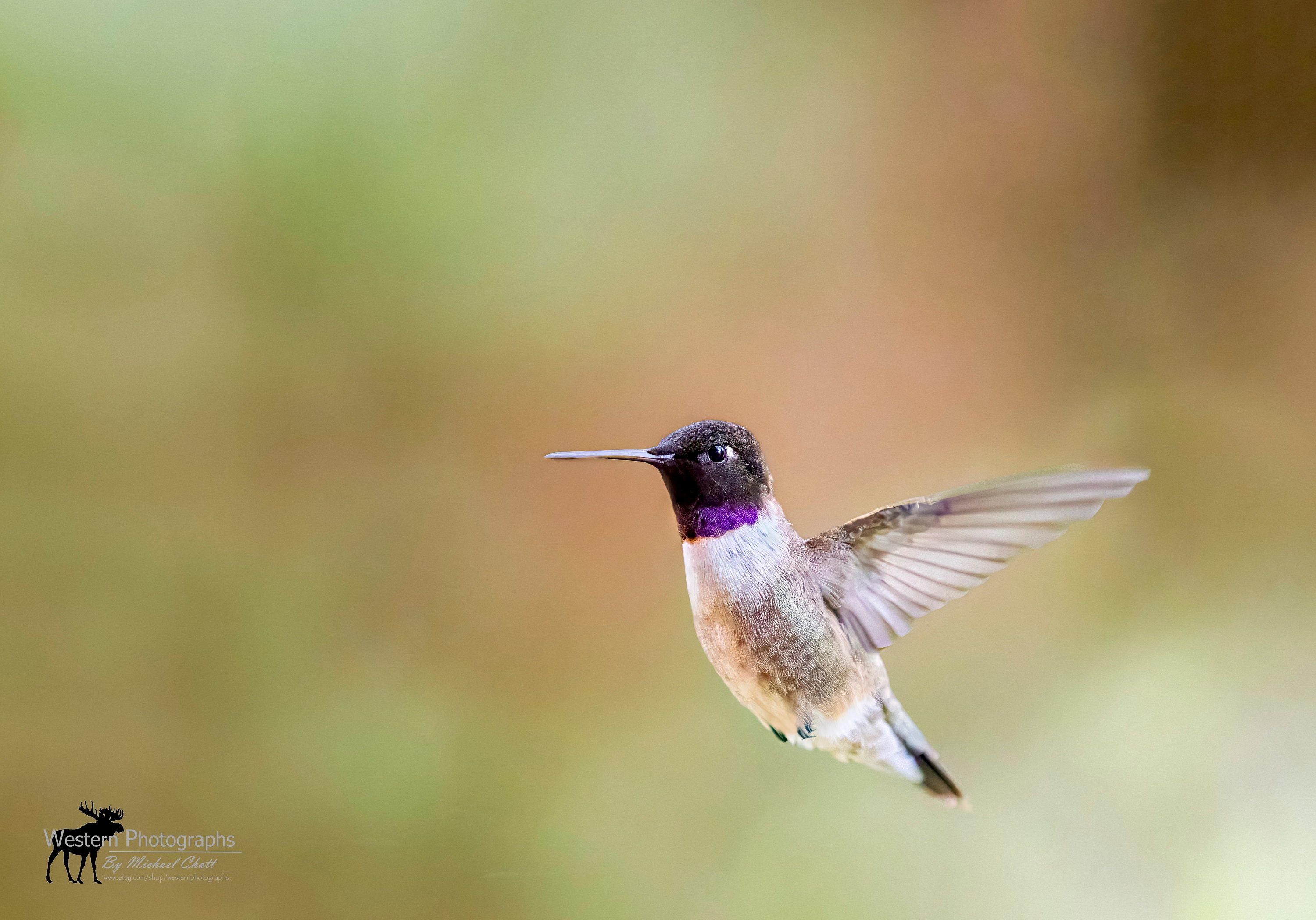 WesternPhotographs - Etsy