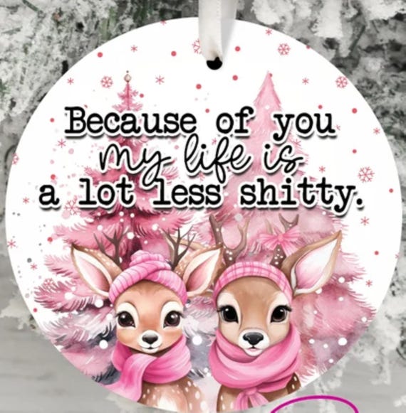 Fun friend ornament "Because of you my life is a lot less shitty" Includes Gift Box, Item #O107, FAST SHIPPING!