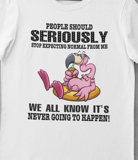 Fun T-Shirt! Great gift!  People should seriously stop expecting normal from me, we all know it's never going to happen, Flamingo