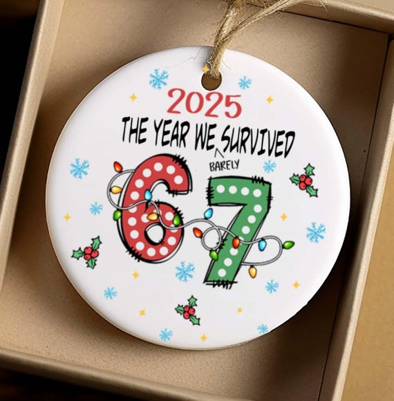 2025 "The Year We (or I) barely Survived 6 7" Ornament, Fun Teacher's Gift, Includes Gift Box, FAST SHIPPING!