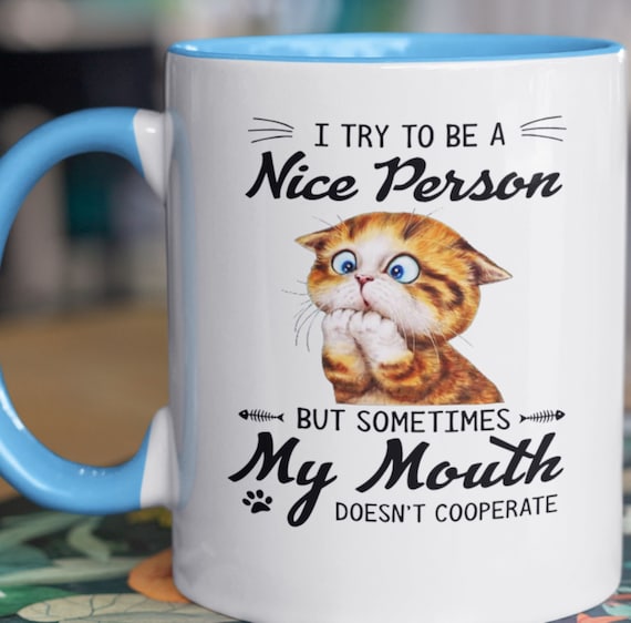 I Try to be a Nice Person,.......Fun Gift for anyone!