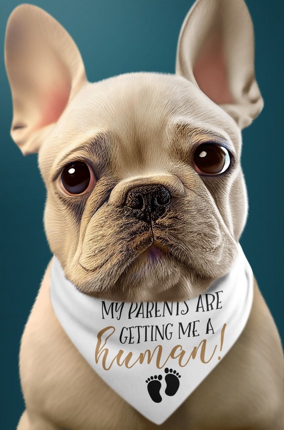 Cute Way to Make Announcement!  Dog Bandana, "My Parents are getting me a Human", Includes Collar, FAST SHIPPING!