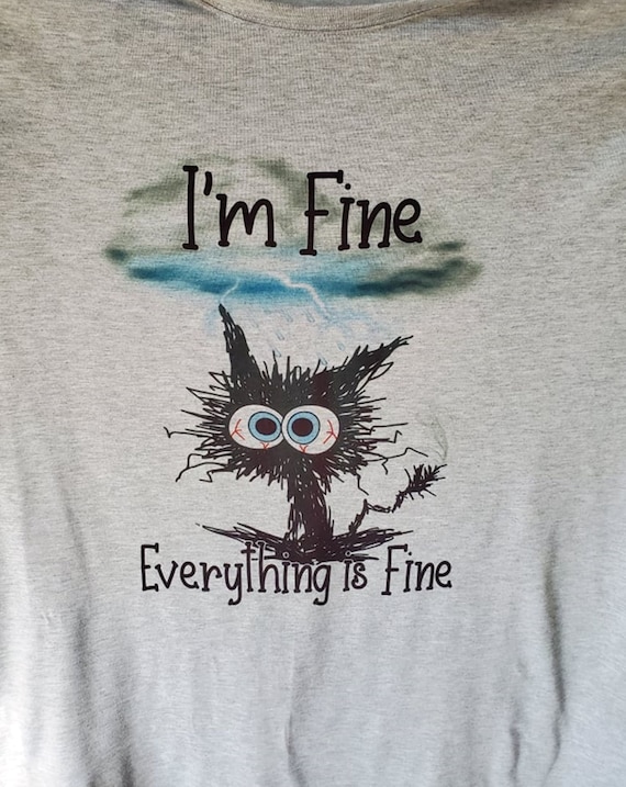 I'm Fine, Everything is Fine T-Shirt, Anxiety, Frazzled Cat, Women's Size S Heather Gray V-Neck, FAST SHIPPING!