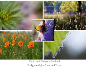 Scottish Plants Virtual Meeting Backgrounds Bundle. 5 digital Background images for Zoom, MS Teams & others while working from home.