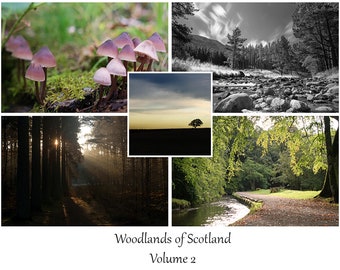Scottish Woodlands Virtual Meeting Backgrounds Bundle Vol 2. Digital Background images for Zoom, MS Teams & others while working from home.