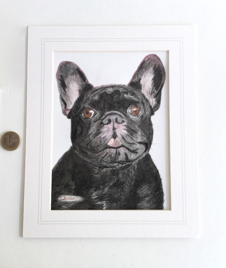 Dibujo A L piz De Color De Bulldog Franc s Arte De Pared Obra De Arte dibujo-a-l-piz-de-color-de-bulldog-franc-s-arte-de-pared-obra-de-arte