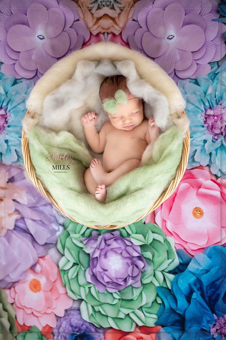 Wool Fluff Basket Stuffer Newborn Photo Prop Merino Baby Prop Etsy