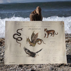 May include: A vintage-style illustration of a dragon, snake, eagle, and a leopard. The illustration is on a cream-colored paper with handwritten text that reads "Persistent Relicts of our primate ancestors DRAGONS".