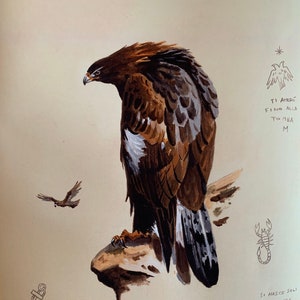 May include: A watercolor painting of a golden eagle perched on a rock. The eagle is brown and black with white markings. The painting is surrounded by various sketches and symbols, including a scorpion, an anchor, a snake, and a flower.