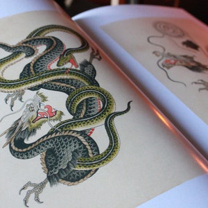 May include: A detailed illustration of a green and black dragon with red accents. The dragon is curled up in a defensive position with its head raised and its mouth open.