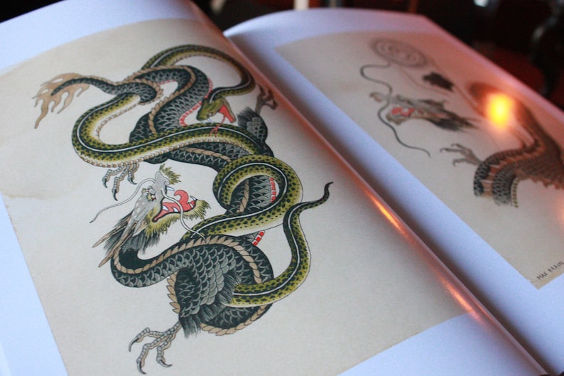 May include: A detailed illustration of a green and black dragon with red accents. The dragon is curled up in a defensive position with its head raised and its mouth open.