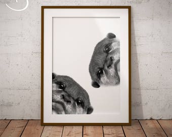 OTTER PRINT, Cute Curious Otter Drawing download, Otter Wall decor, Otter Prints, Printable Otter Poster, Otter Decor, Printables, Otter Art