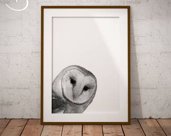 NURSERY OWL, PEEKABOO Owl Drawing download, Owl Art, Peekaboo Owl Print, Printable Poster, Instant Download, Peekaboo Animals, Peekaboo Owl