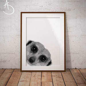 MEERKAT PRINT, Meerkat Drawing download, Meerkat decor, Peekaboo Meerkat Print, Printable Meerkat Poster, Meerkat , Printable, Meerkat Print