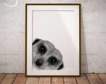 MEERKAT PRINT, Meerkat Drawing download, Meerkat decor, Peekaboo Meerkat Print, Printable Meerkat Poster, Meerkat , Printable, Meerkat Print