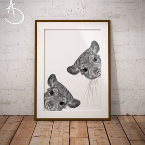 CHINCHILLA ART PRINT, Chinchilla Drawing download, Chinchilla decor, Curious Chinchilla Print, Printable Chinchilla , Chinchilla Prints,