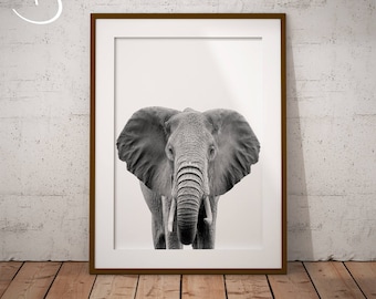 Elephant Print, Nursery Art, Baby Animal Prints, Elephant, Safari Decor, Kids Room Wall Decor Safari Poster, Digital Download, Bedroom Print