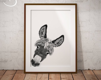 PEEKABOO DONKEY Drawing download, Donkey decor, Peekaboo Donkey, Printable Donkey Poster, Nursery Decor, Donkey Decor, Peekaboo Animals