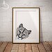MOUNTAIN LION PRINT Printable Poster Printables Nursery - Etsy