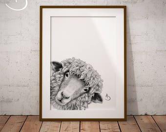 CUTE PEEKABOO SHEEP Drawing download, Sheep Art, Peekaboo Sheep Print, Printable Sheep Poster, Sheep Decor, Peekaboo Animals, Peekaboo Sheep